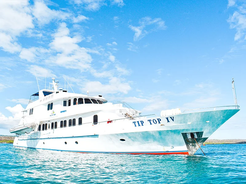 Tip Top IV |  galapagos Cruise