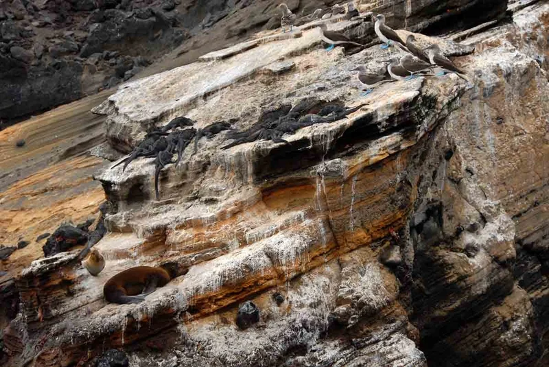 Punta Vicente Roca | Galapagos Islands Punta Vicente Roca | Galapagos Islands