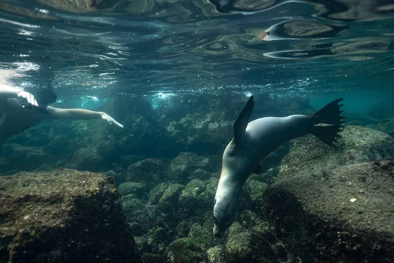 Galapagos Islands 