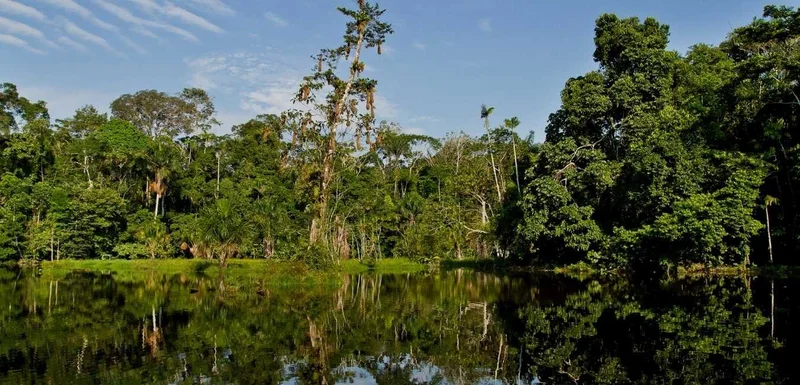 Yasuni National Park | Ecuador