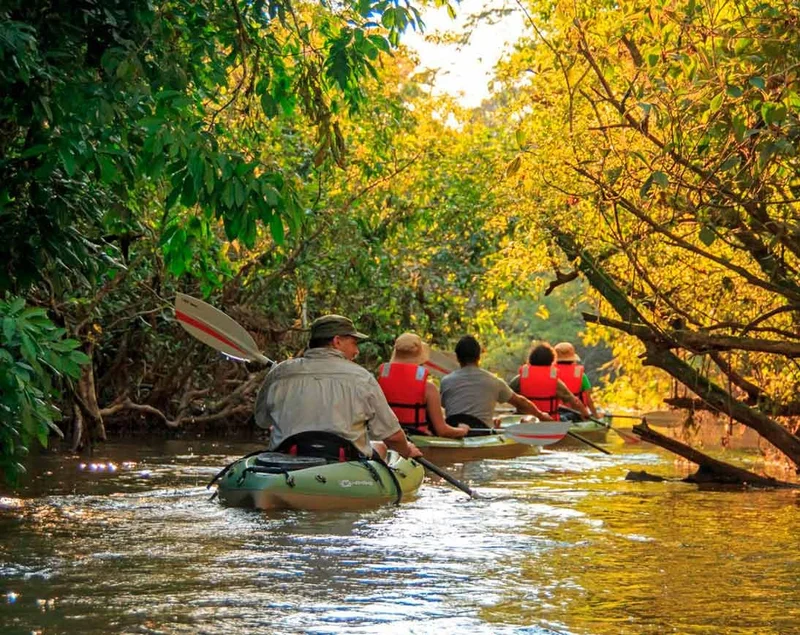 Amazon | Ecuador