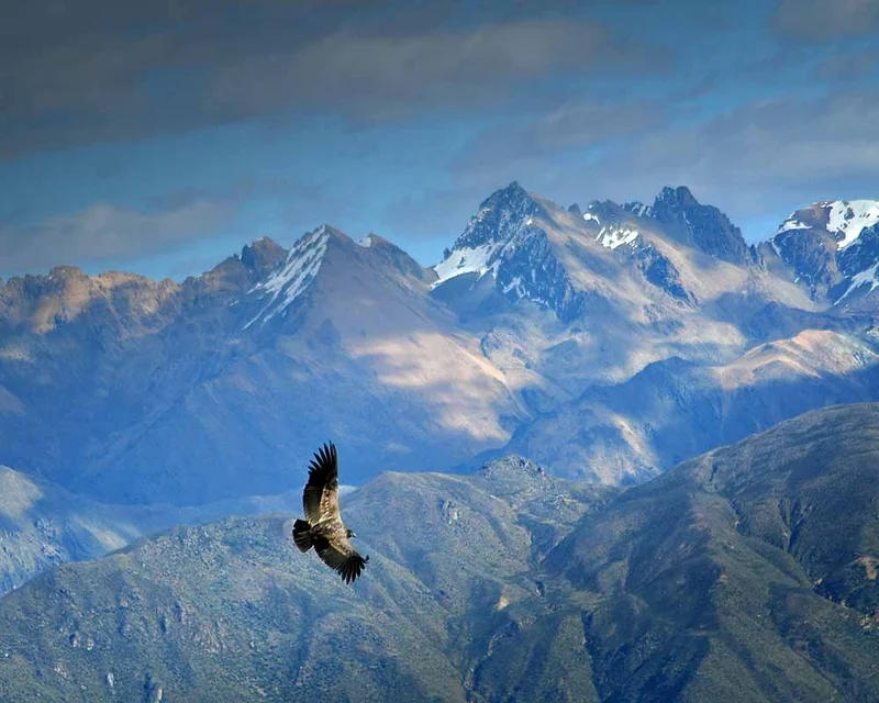 Arequipa Skies | Peru Arequipa Skies | Peru