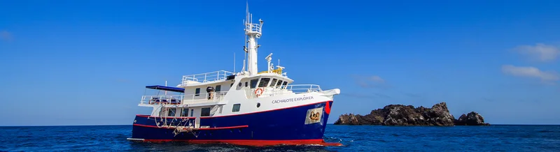 Cachalote Explorer | galapagos Cruise Cachalote Explorer | galapagos Cruise