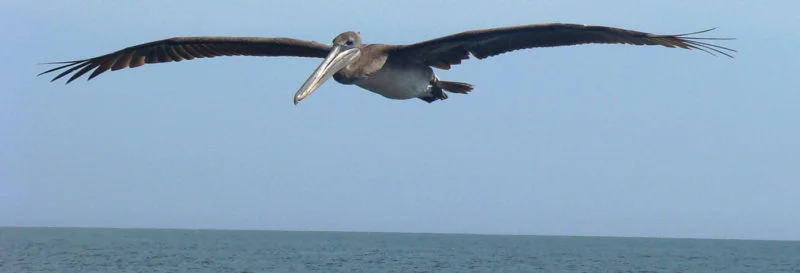 Galapagos won the prize as World’s Best Islands