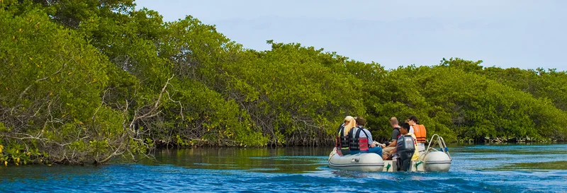 Galapagos Hotel based Tours vs Cruise Expeditions