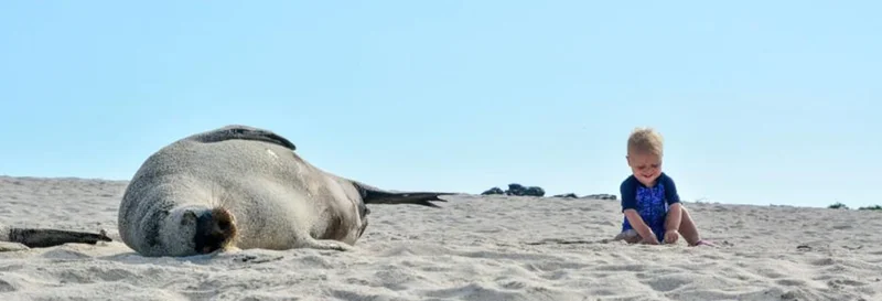 Galapagos Beach | Ecuador | Galapagos Islands