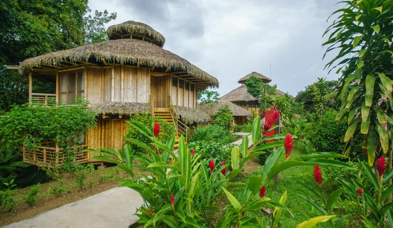 La Selva Jungle Lodge