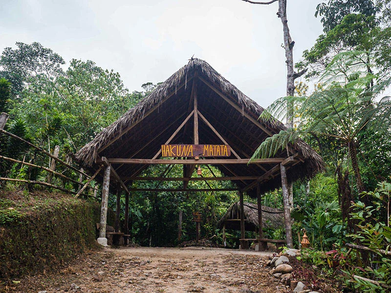 Hakuna Matata Amazon Lodge