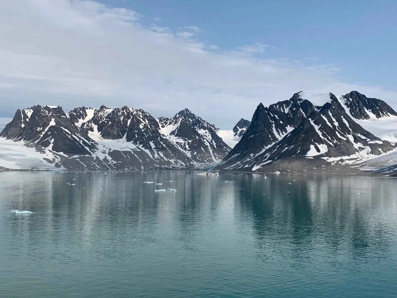 Arctic Ocean Expedition, Aberdeen - Fair Isle - Jan Mayen - Ice edge - Spitsbergen - Birding