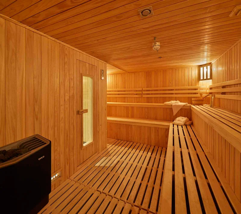 Sauna | Magellan Explorer