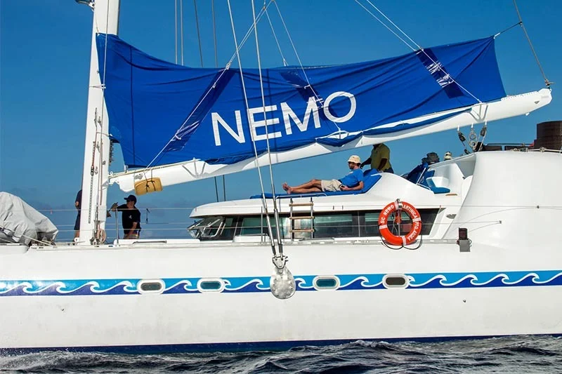 Exterior view | Nemo 1