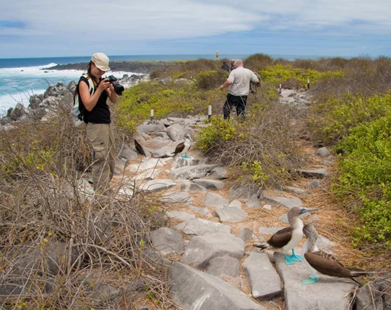 North Seymour Island | Galapagos 