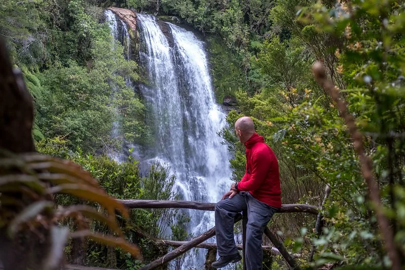 Pumalin park | Chile