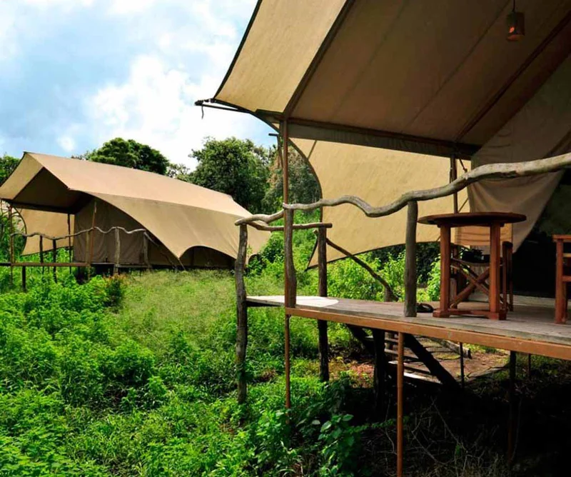 Exterior view | Safari Camp