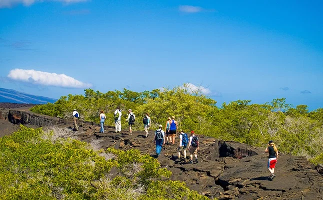 Sierra negra volcano | Galapagos