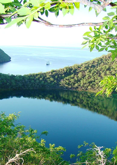 Caleta Tagus | Galapagos Islands Caleta Tagus | Galapagos Islands
