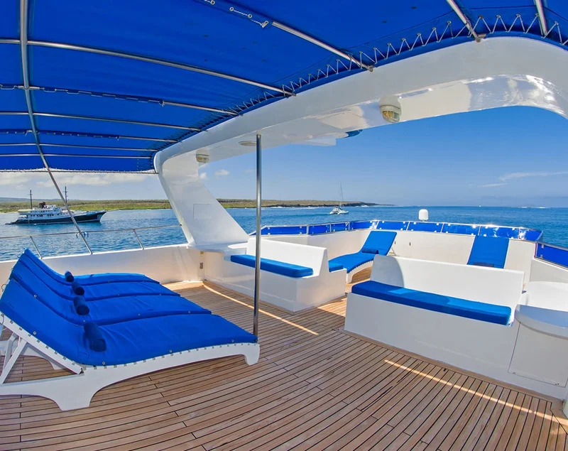 Sun Deck