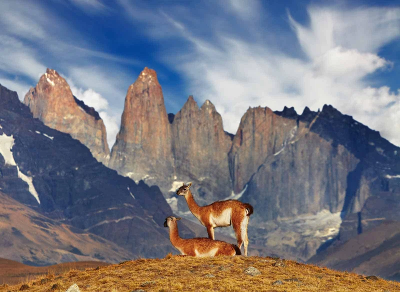 Torres del Paine | Chile