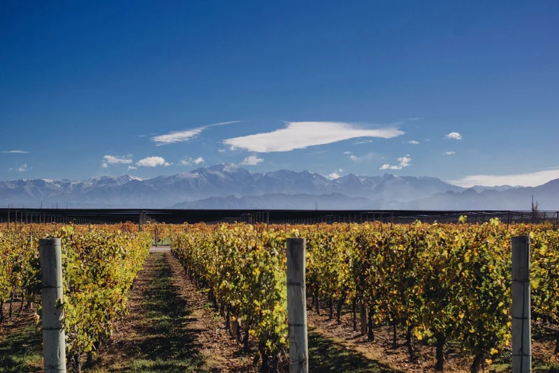 Mendoza Wine Route and inauguration of the first solar tourist train in Jujuy