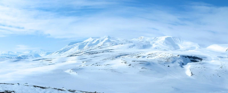 Arctic Arctic